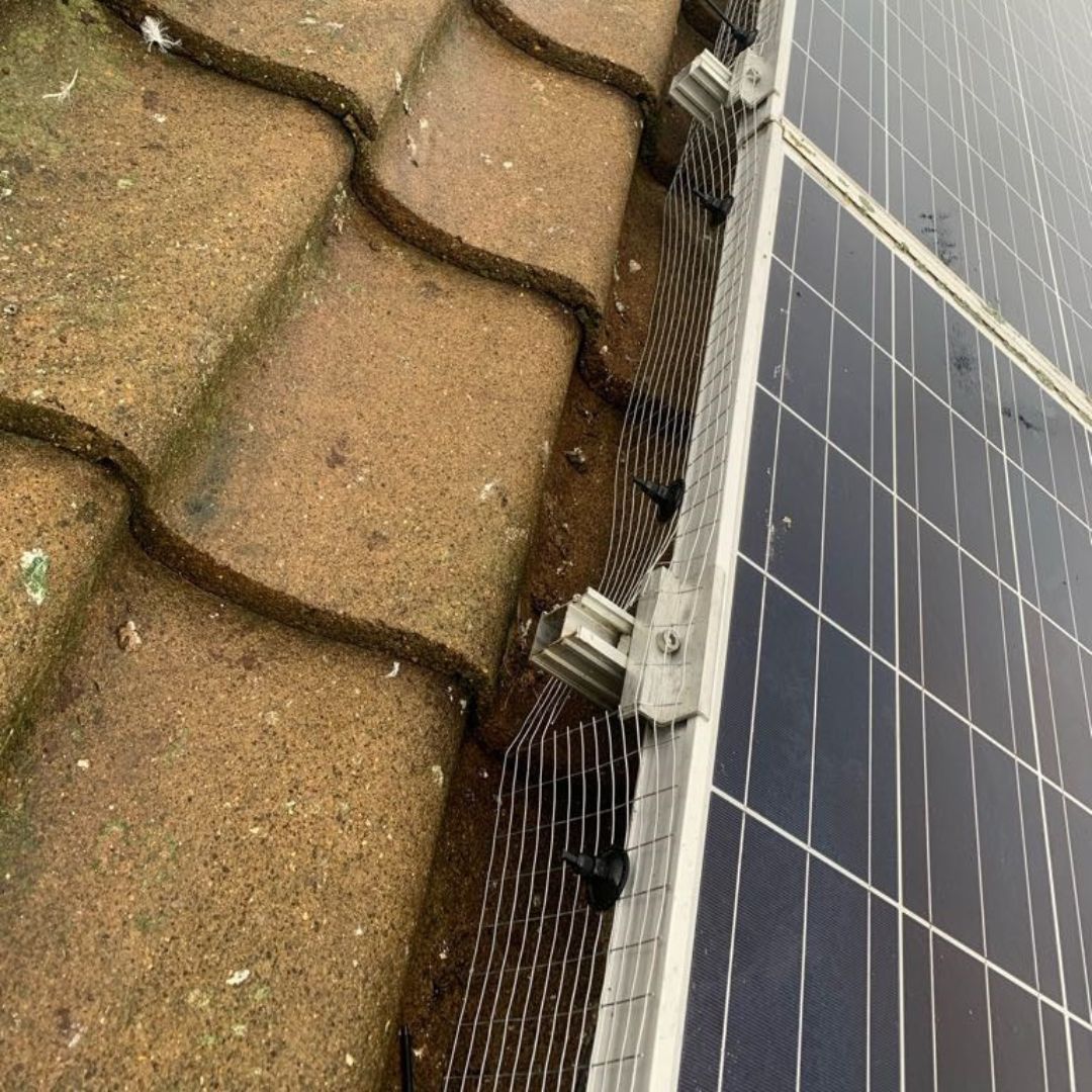 pigeon mesh underneath solar panel to bird proof panels